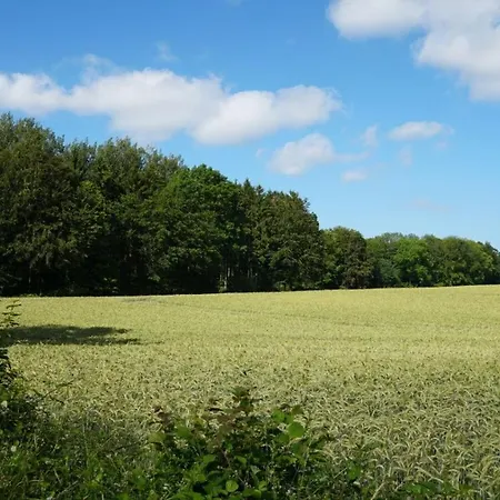 Landhaus Esgrus - Landblick Lägenhet Niesgrau